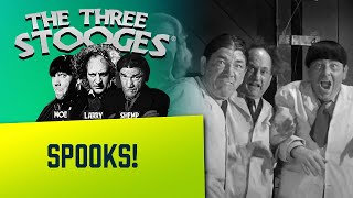 THREE STOOGES classic Scenes - Curly Dances the Rhumba | Safe Videos ...