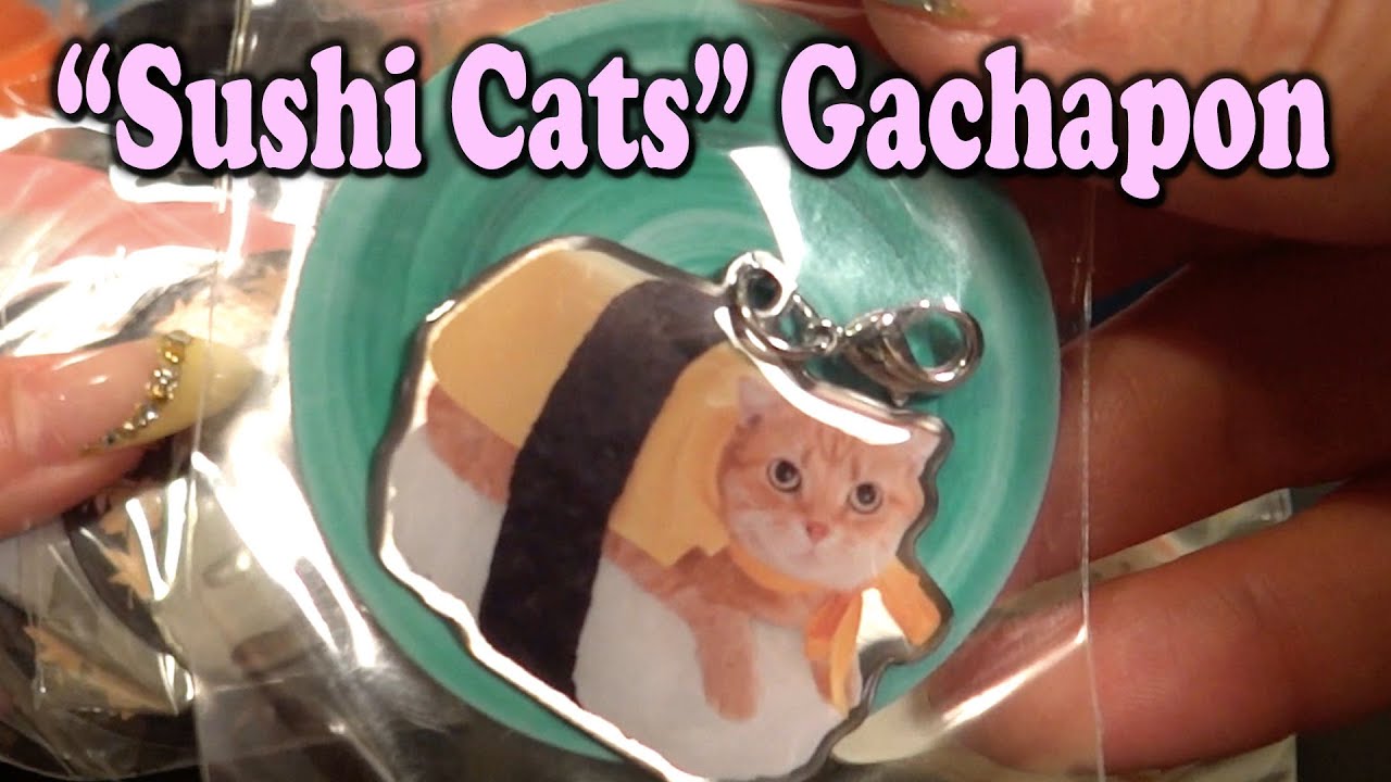 Sushi Cats ネコずし [Gachapon Hunting] ToysHKJP YouTube