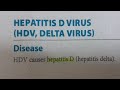 Hepatitis d virus  microbiology