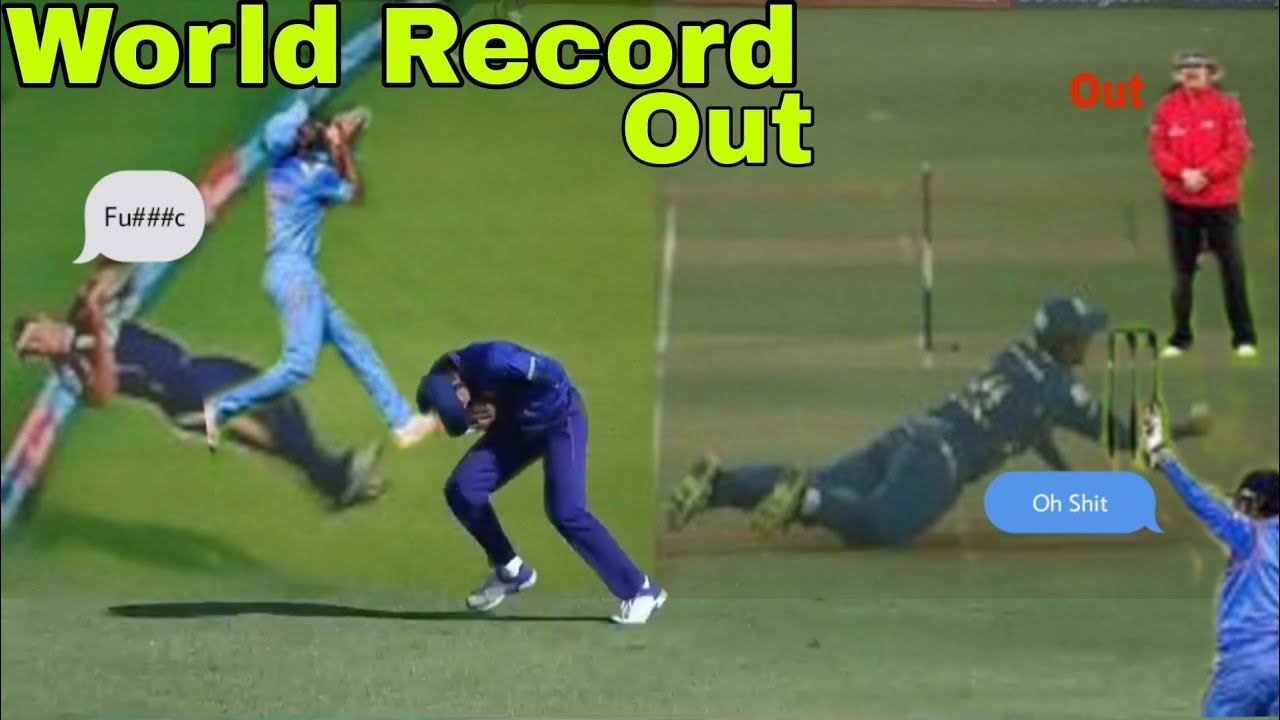 Top 10 Best Amazing Catches in Cricket History HD 2022 #youtube #shorts ...