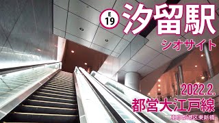 東京メトロ大江戸線【汐留駅（シオサイト E-19） 】2022.2.東京都港区東新橋