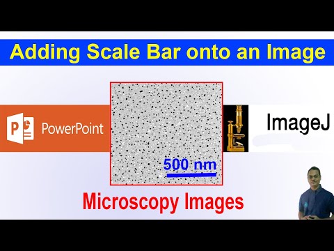 Adding A Scale Bar Onto A Microscopy Image Using Powerpoint