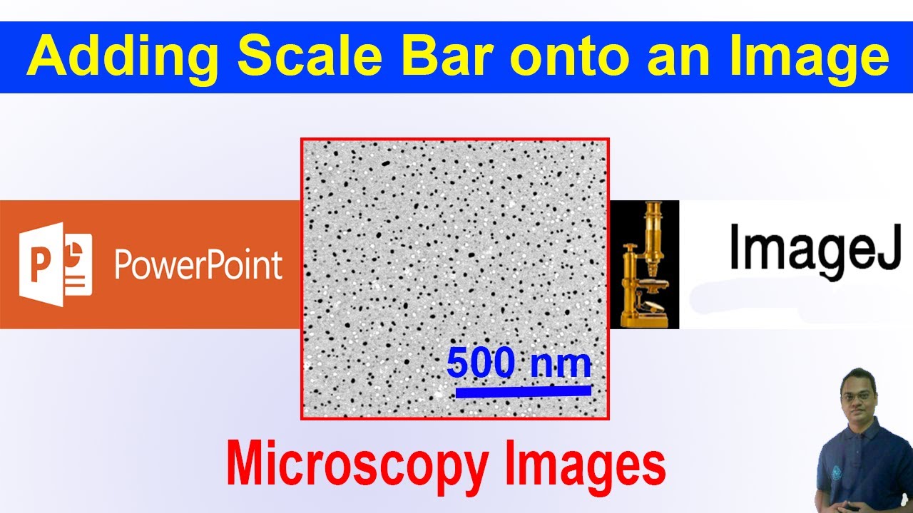 Adding A Scale Bar Onto A Microscopy Image Using Powerpointimagej