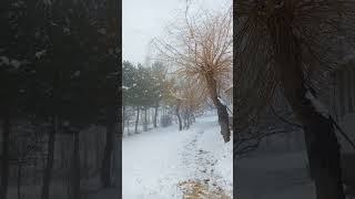 Kar Taneleri Gibi Yaşıyoruz Şu Sıra. Birbirimize Değmeden Ayrı Ayrı Eriyerek.