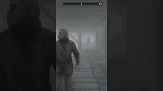 Skyrim looking a little too bare? Grab this mod! #skyrim #mods #modding #skyrimmods #skyrimmodding