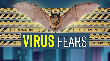 "Study detects 20 novel viruses in kidneys of Chinese bats" | News Worthy with Ben O’Shea