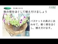 ハンギングの使い方 / 立体的にガーデニングを楽しめる!!【カインズHOWTO】