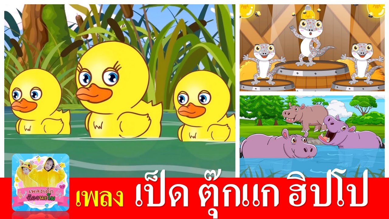 เป็ด ตุีกแก ฮิปโป | เป็ดอาบน้ำในคลอง | ตุ๊กแก | ฮิปโป