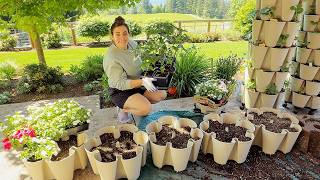 The Risk of Frost is Over! Let the planting fun begin!