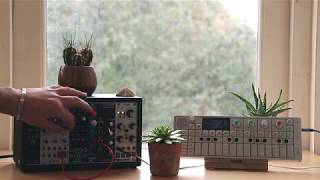 Modular Minimal Tech // Feat. Mutable Instruments Plaits & Teenage Engineering OP-1