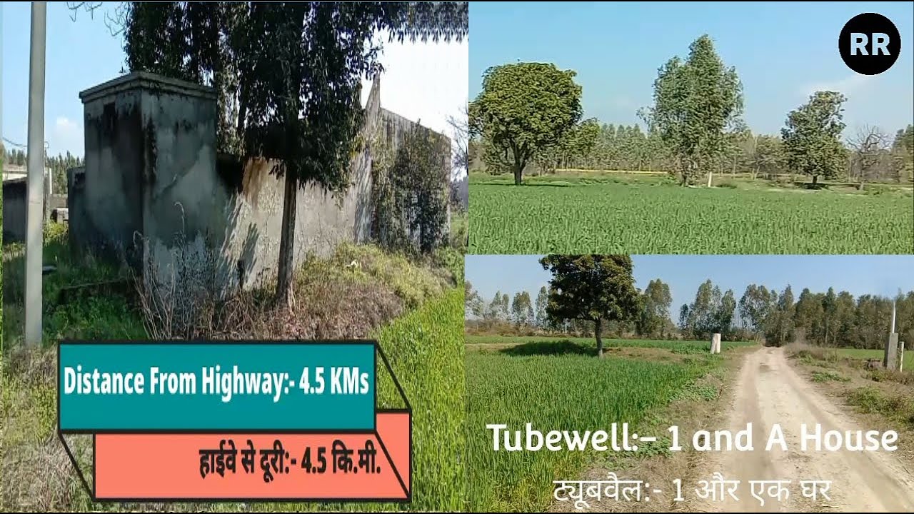 25 Acre Land For Sale || Agricultural Land For Sale