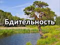 Бдительность. Беседа. Проповедь. МСЦ ЕХБ.