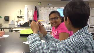 Phenomenon Based Instruction