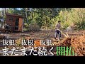【2畳小屋暮らしと理想の家づくり#2】まだまだ続く開拓。抜根しながら理想の家を建てる場所を考える。