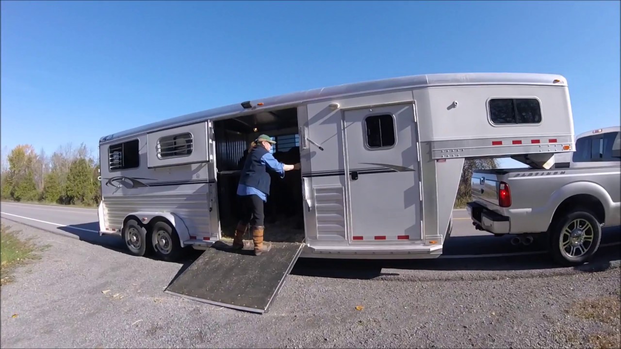horseshoe bend Tomorrow's Move through Ontario Part 1 - Moving my horse to a new barn