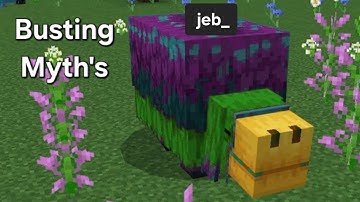 Busting Minecraft 1.20 Myth