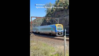 Xplorers Along Mullet Creek