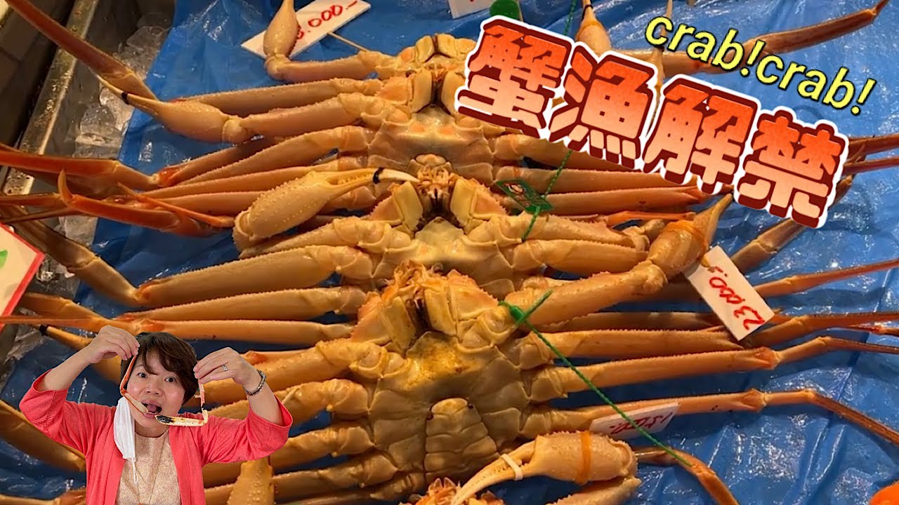 【舞鶴港とれとれセンター】カニ解禁！中日字幕/Eng. Subtitles/crab fishing ban lifted/捕蟹令解禁