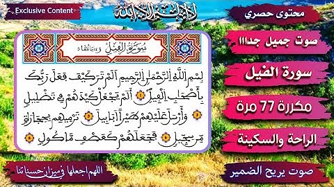 سورة الفيل مكررة 77 سبعة وسبعون مرة بصوت جميل سورة الفيل مكتوبة اية ايات قران برواية ورش