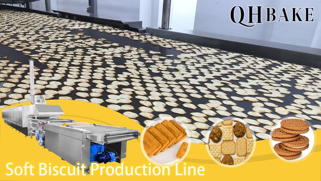 1500 Chips cookies making machines biscuit baking plant food