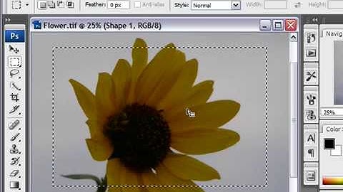 Select With a Marquee Tool in Photoshop CS3
