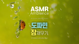 자극적인 영상들로 치솟은 도파민 바로 잠재우기잠들기 직전에 듣는 부드러운 빗소리 asmr 앰비언스 (음악X)