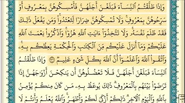 سورة البقرة (صفحة ٣٧) من آية ٢٣١ إلى آية ٢٣٣ | الشيخ إبراهيم الأخضر