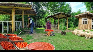 Collecting Fresh Tomatoes from Your Garden. Preparing Tomato Paste for the Winter. by Kənd Dadı 26,864 views 1 month ago 41 minutes