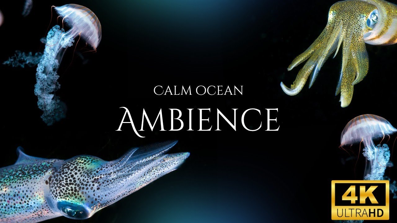Relaxing Underwater Ocean Background 🌊 | Calm Deep Sea Ambience for ...