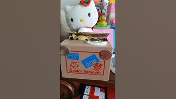 ASMR CAT STEALING COIN MONEY BANK #piggybank #viralvideo #trending #asmr #satisfying #shorts #fyp