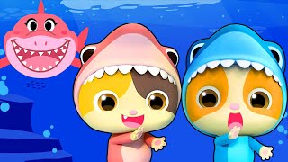 حفلة عيد ميلاد تيمي المميزة | بيبي شارك | اغاني الاطفال | بيبي باص | Baby Shark | BabyBus Arabic