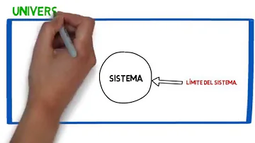 ¿Cómo se llama el entorno de un sistema?