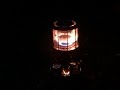 【トリマトリ。】【武井バーナーでクッキング】【bushcraft ブッシュクラフト】 【キャンプ】