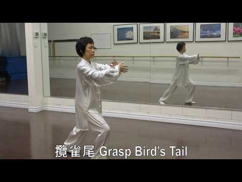 Preview of Yang Style Tai Chi