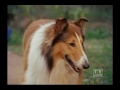 The Holdens Lassie (Season 19 Eps 15 The Visitor)