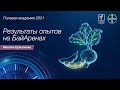 Защита сахарной свёклы: результаты опытов БайАрены 2021