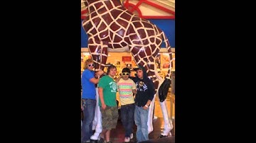 9Heart21 --X Marks the Spot (QCU)