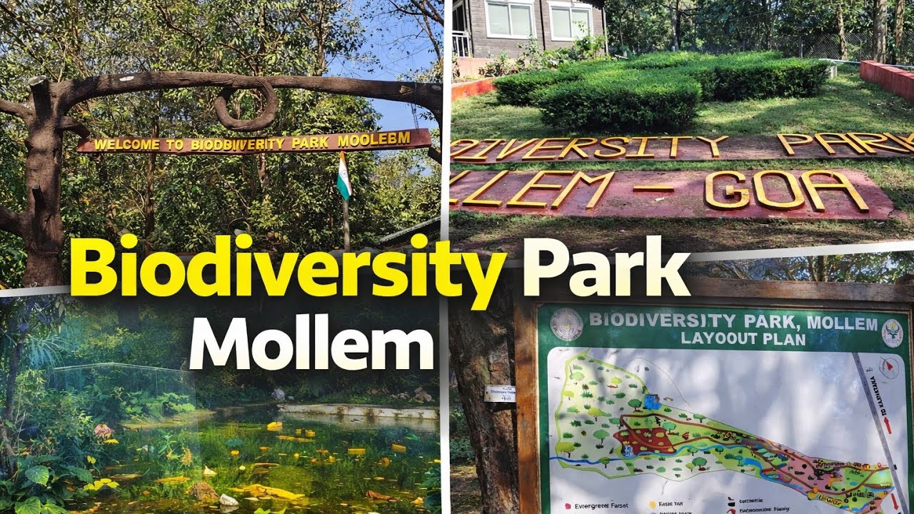 BIODIVERSITY PARK MOLLEM GOA 