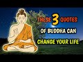 These 3 buddha quotes can change your life  buddha teachings explained 