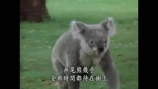 [国家地理百年纪念典藏全100集] [中字 ] VOL34：澳大利亚动物探秘