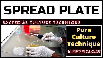 Spread Plate Technique for Colony Counting_A Complete Procedure (Microbiology)