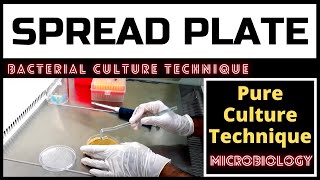 Spread Plate Technique for Colony Counting_A Complete Procedure (Microbiology)