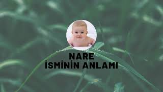 Nare isminin anlamı nedir? Özellikleri nelerdir? Kuran'da geçiyor mu? Resimi