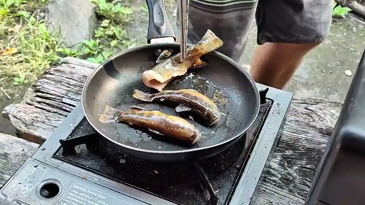 From River to Plate: Brook Trout Sushi on the Appalachian Trail