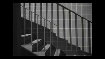 Bauhaus: The Three Shadows Part II