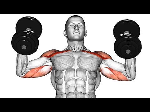 Big Arms in 3 WEEKS! Dumbbell Exercises