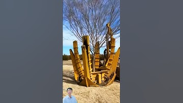 Máy bứng cây và trồng cây - Tree excavation #machine #satisfying