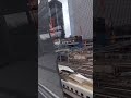 手のひらの東京タワー