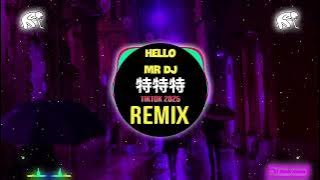 Hello Mr DJ 特特特 x Why Would I Ever (DJ抖音热播版 Remix Tiktok 2025) 这节奏不要停 (DJ版) || Hot Tiktok Douyin