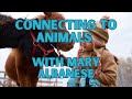 Connecting with animals mary albanese reads pet thoughts and feelings  episode 22